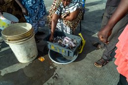 Accra;-Ghana;-Jamestown;-fishing-harbour;-fish;-sardinella;-small-pelagics;-landing;-basin;-crate;-fish-traders;-artisanal-fishing;-overfishing;-Gulf-of-Guinea;-West-Africa;-historic-district;-daily-life;-documentary-photography;-Kaleidos;-Kaleidos-images;-La-parole-à-limage;-Stories-Pictures;-Tarek-Charara